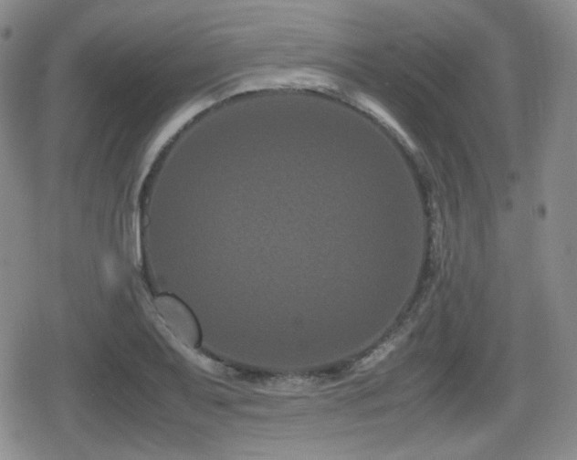 X0000080711079200612151128