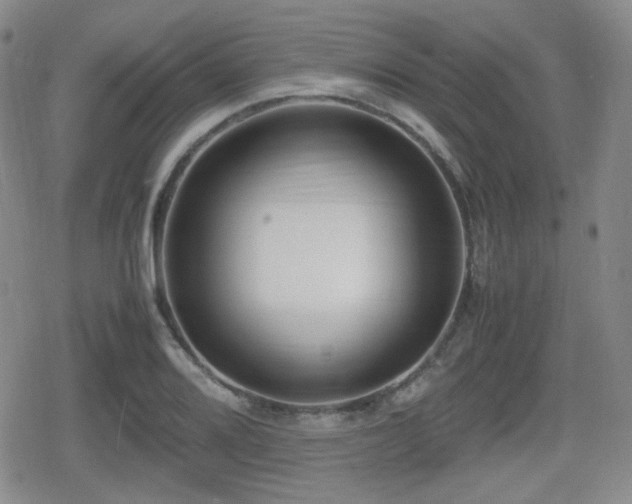 X0000080711080200612151128