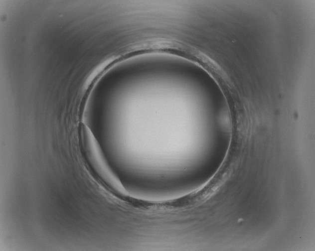 X0000080711081200612151128