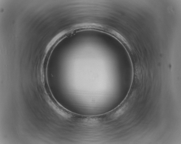 X0000080711082200612151128