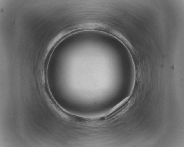 X0000080711083200612151128