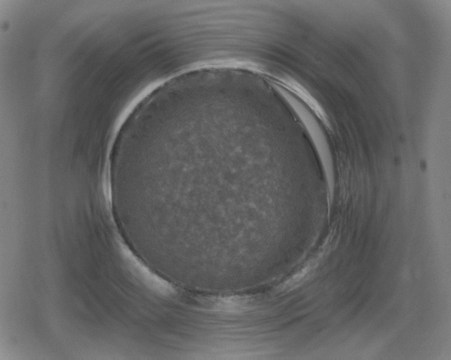 X0000080711084200612151128