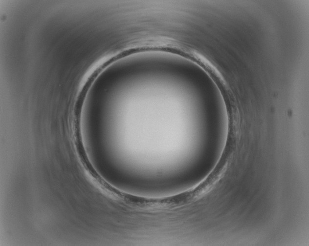 X0000080711085200612151128