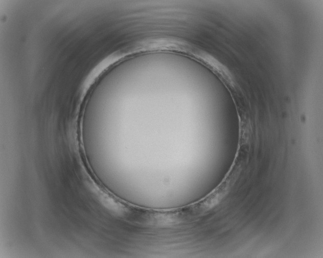 X0000080711086200612151128