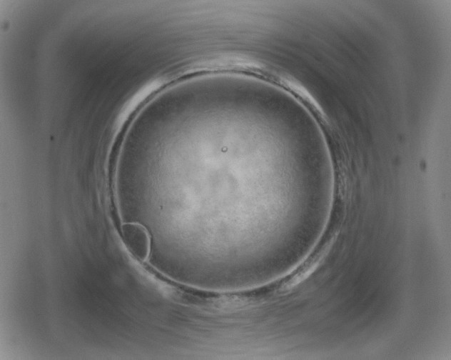 X0000080711087200612151128