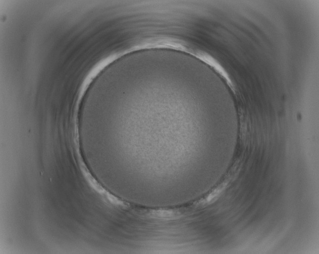 X0000080711088200612151128