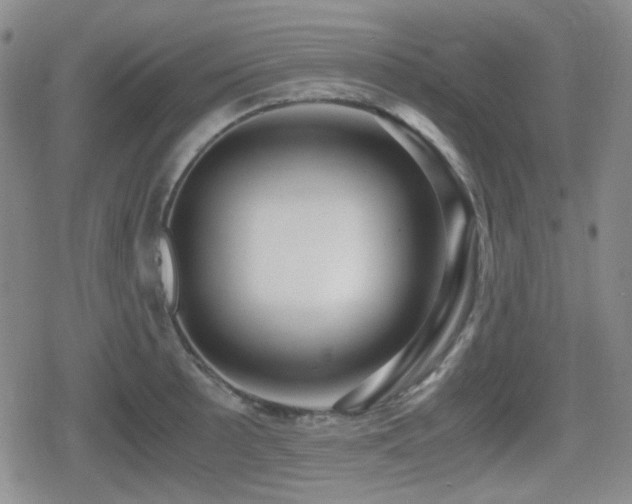 X0000080711089200612151128