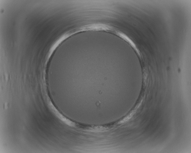 X0000080711091200612151128