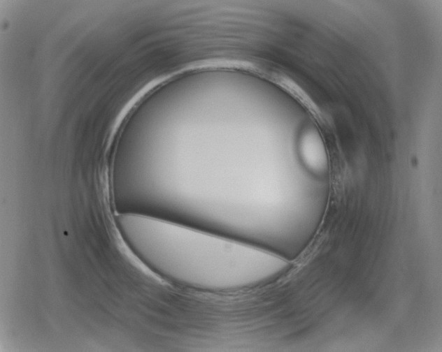 X0000080711092200612151128