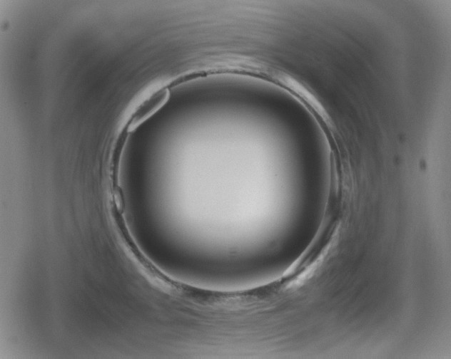 X0000080711093200612151128