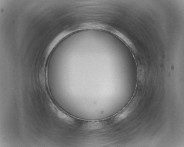 X0000080711094200612151128