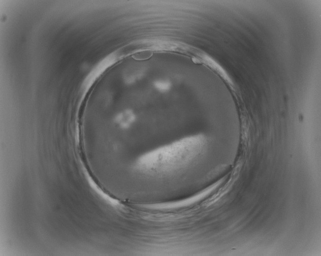 X0000080711095200612151128