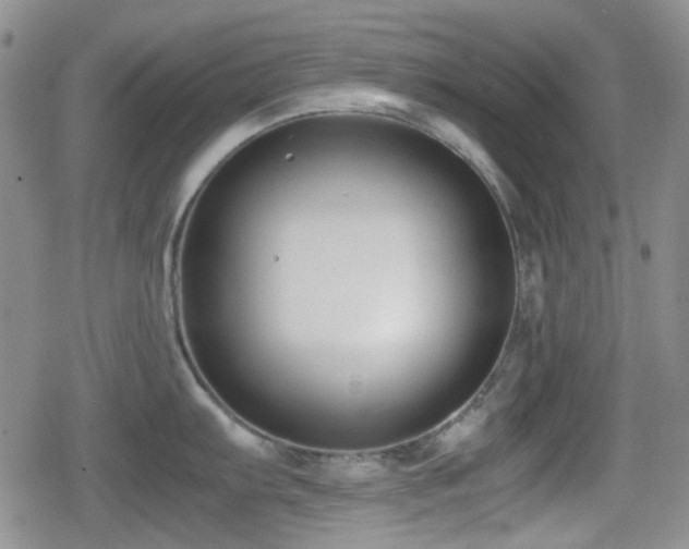 X0000080711103200612151127