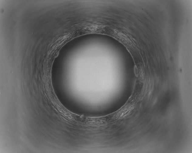 X0000080711105200612151127