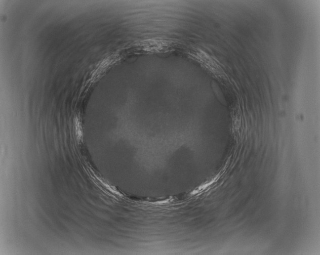 X0000080711106200612151127