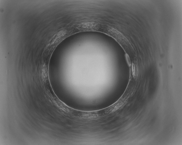 X0000080711107200612151127