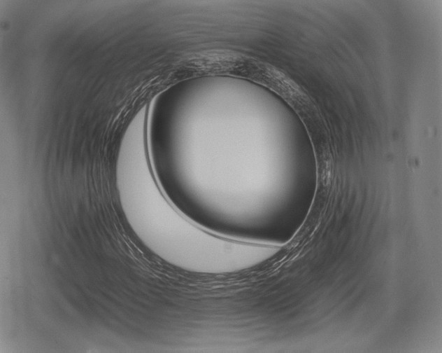 X0000080711108200612151127