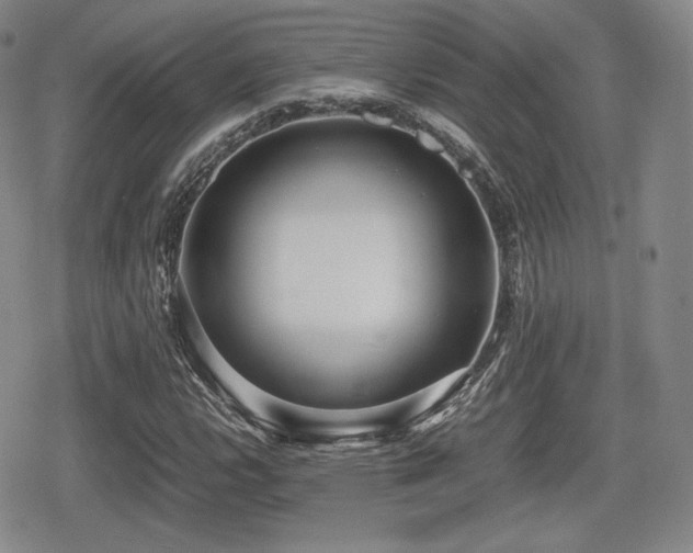 X0000080711112200612151127
