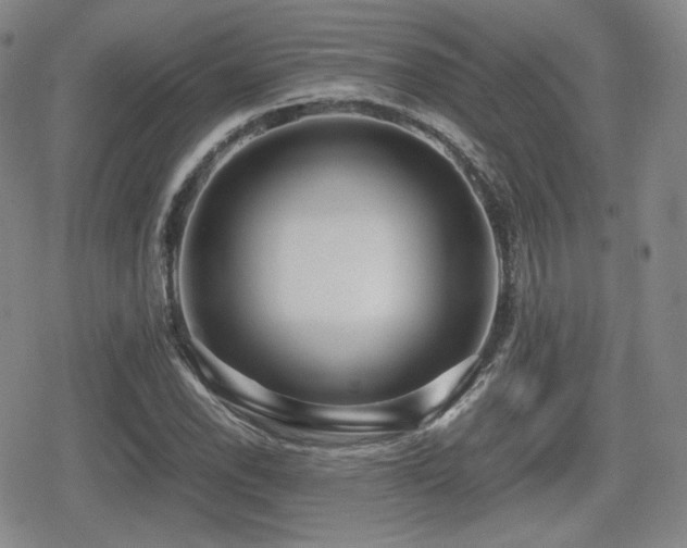X0000080711118200612151127