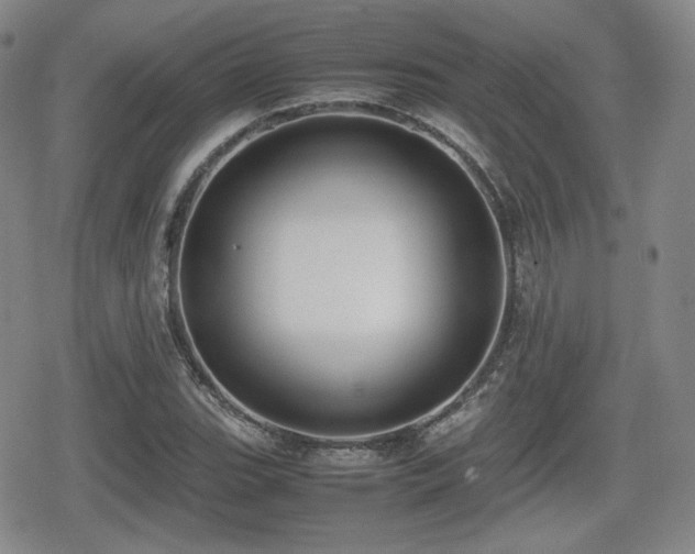 X0000080711119200612151127