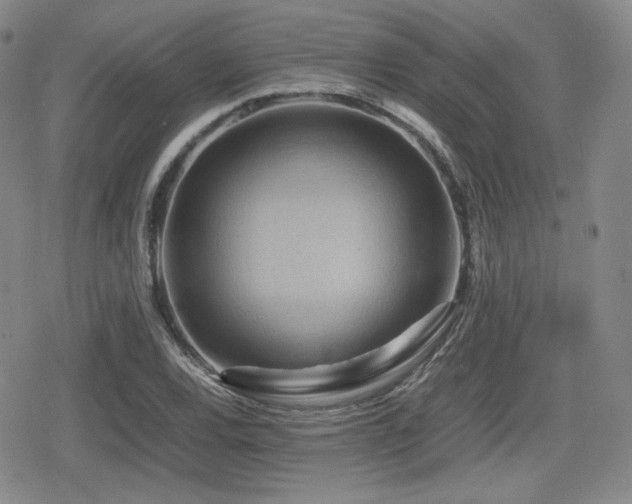 X0000080711120200612151127