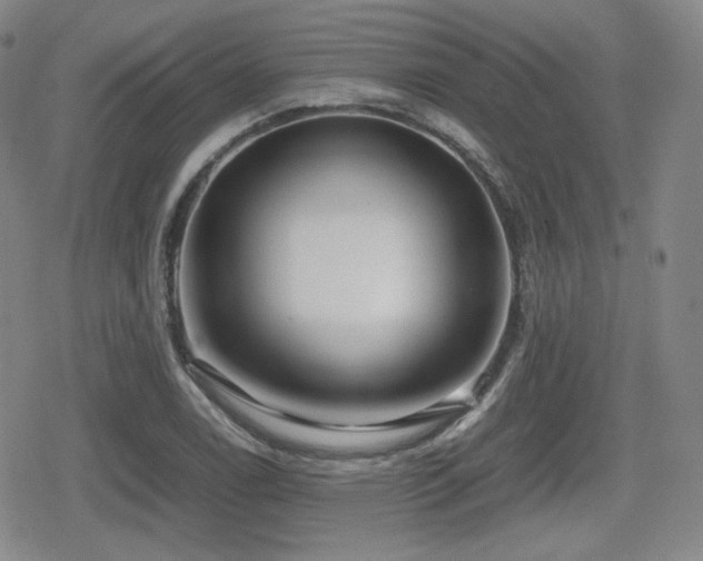 X0000080711122200612151127