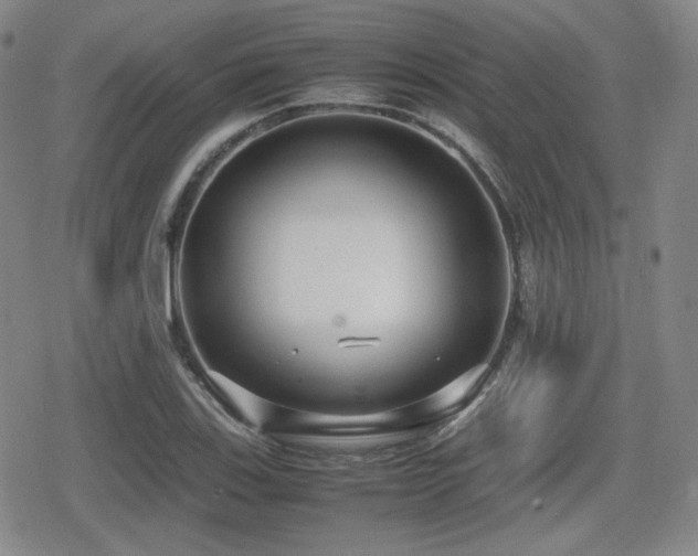 X0000080711123200612151127