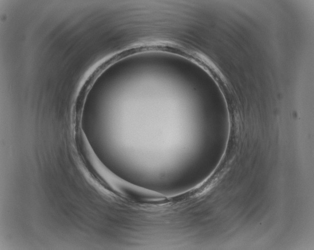 X0000080711124200612151127