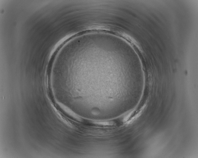 X0000080711125200612151127