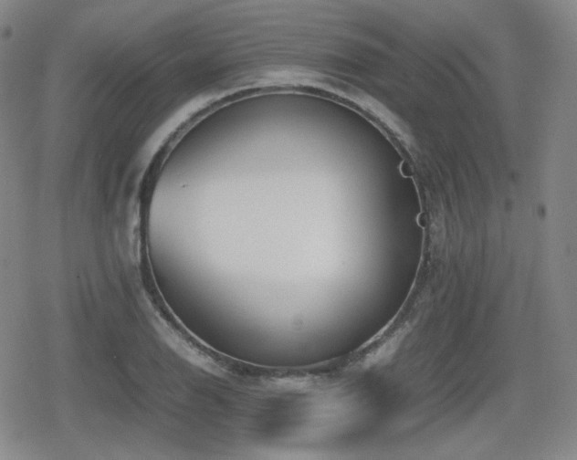 X0000080711126200612151127