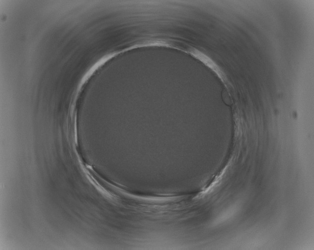 X0000080711127200612151127