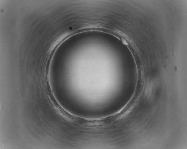 X0000080711129200612151127