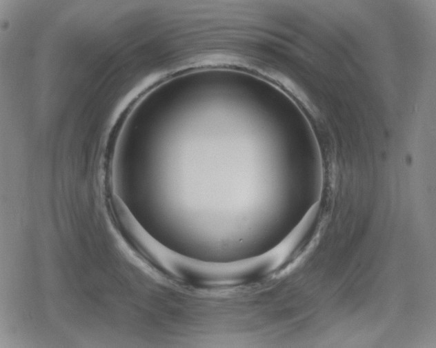 X0000080711134200612151127