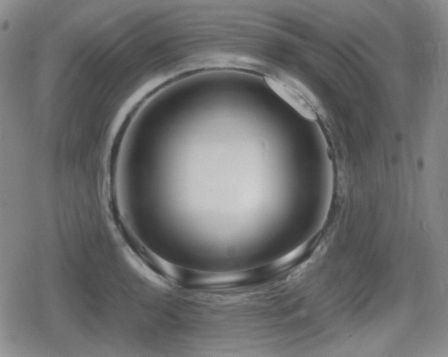 X0000080711136200612151127
