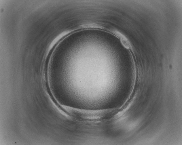 X0000080711141200612151127