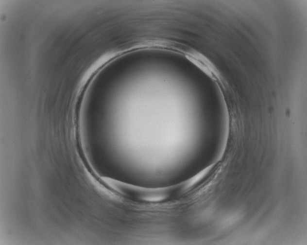 X0000080711143200612151127