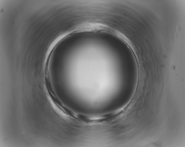 X0000080711152200612151127