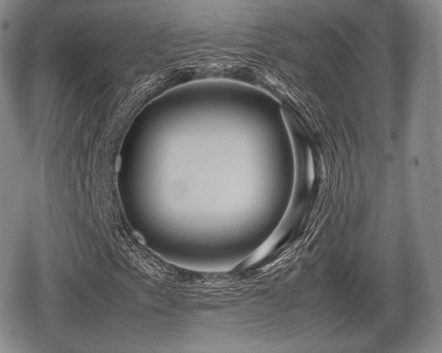 X0000080711153200612151127