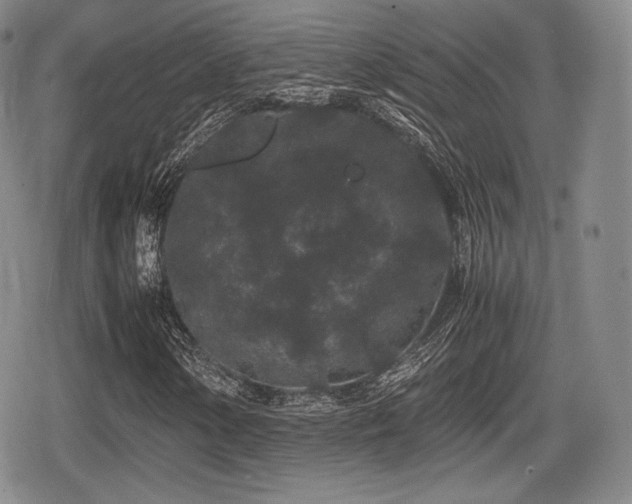 X0000080711154200612151127