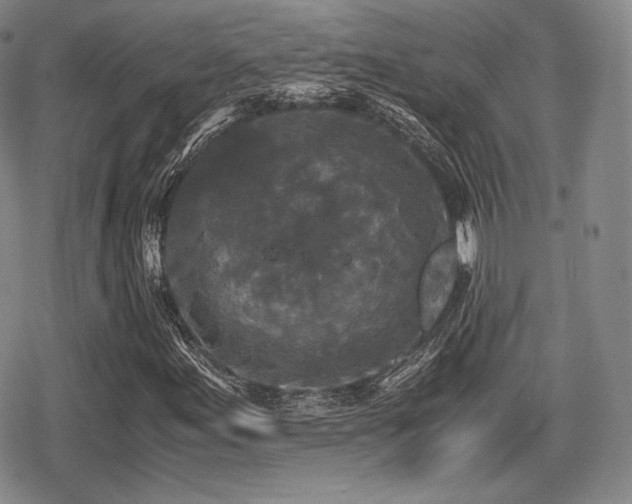 X0000080711155200612151127