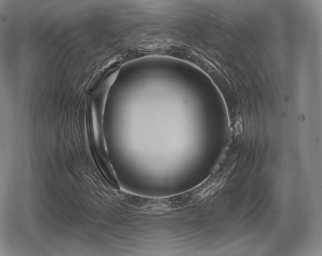 X0000080711156200612151127