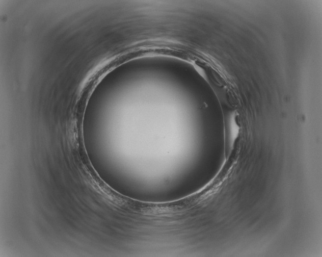 X0000080711164200612151126
