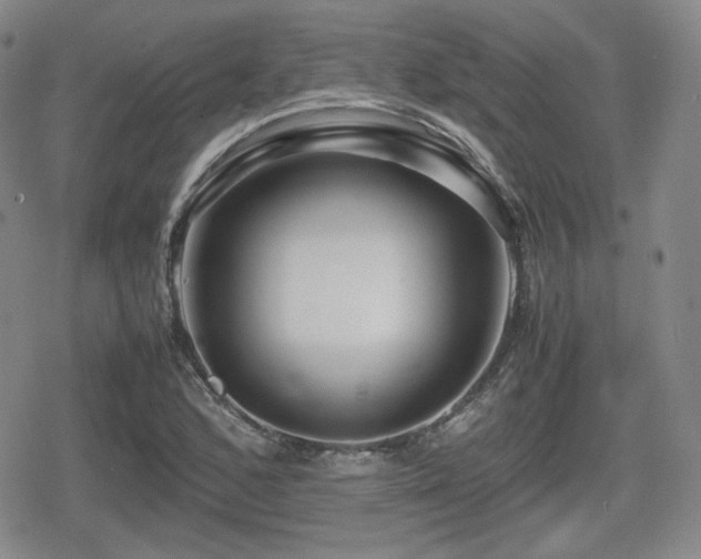 X0000080711168200612151126