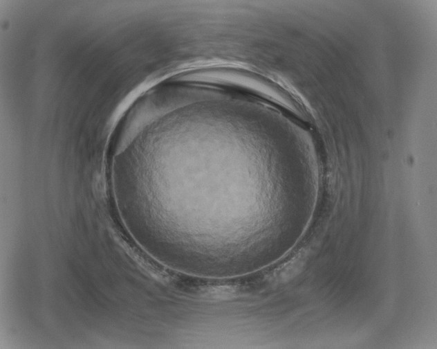 X0000080711173200612151126