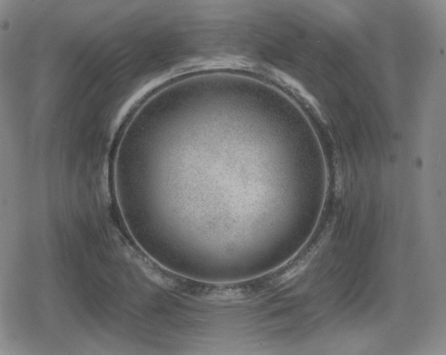 X0000080711174200612151126