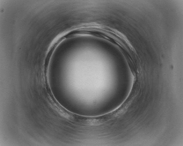 X0000080711176200612151126