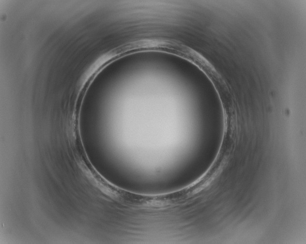 X0000080711178200612151126