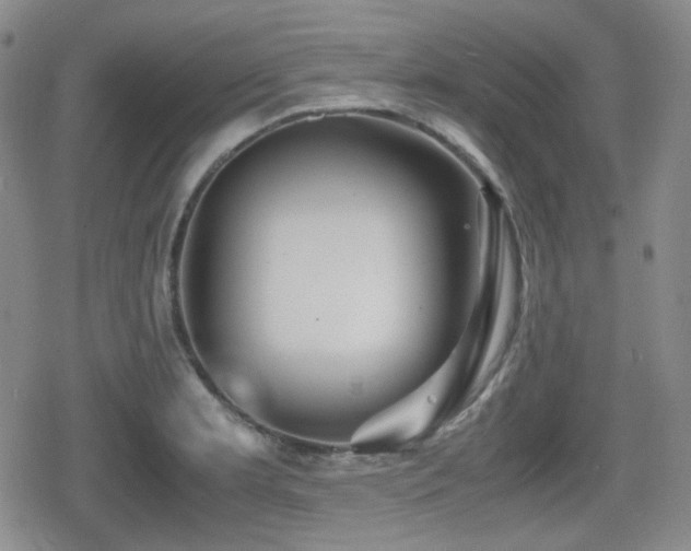 X0000080711181200612151126