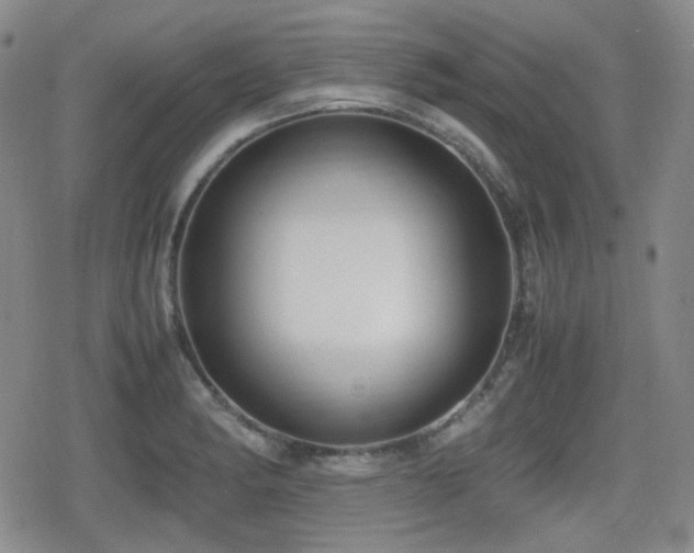 X0000080711182200612151126