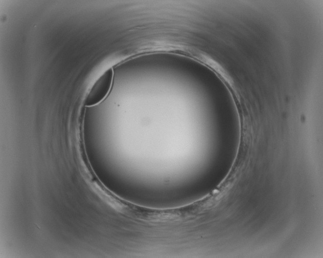 X0000080711187200612151126